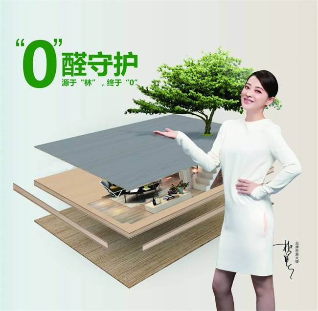 國慶黃金周家裝必備：金利源ENF級香杉實木生態板